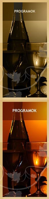 Colour WineWorld borszak�zlet, borbolt, borkeresked�s - Programok