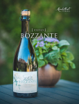 Colour WineWorld Borszaküzlet, Borkereskedés - Fölföldi Béla, Bozzante - bodzás habzóbor