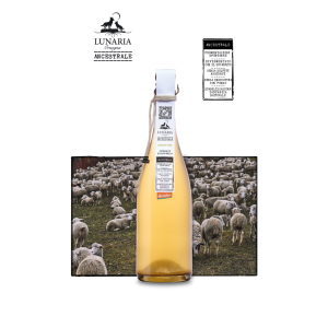 Orsogna Lunaria - Pecorino PetNat Brut Nature Spumante | Colour WineWorld Kft.